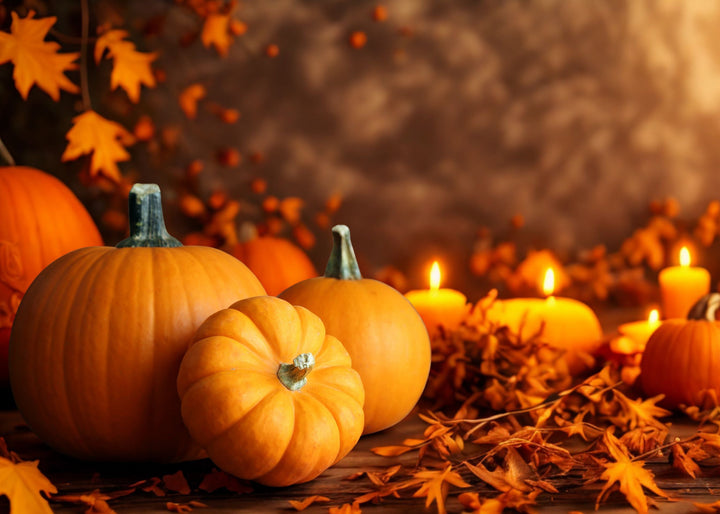 Colección Otoño 2025: Los favoritos que abrazan tu piel