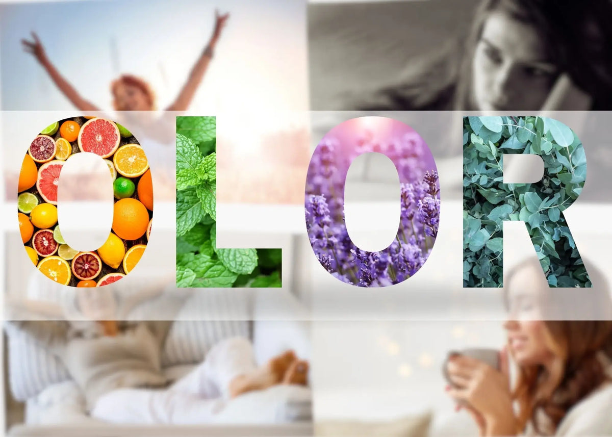 Faipsygaia ¿cómo influyen los aromas en tu estado de ánimo?