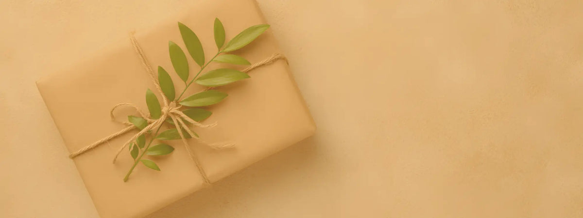 Faipsygaia regalos