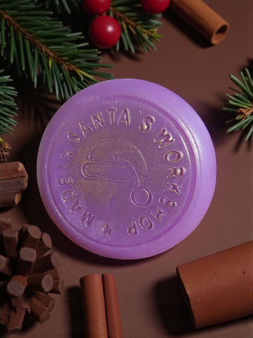 ACONDICIONADOR SÓLIDO ARÁNDANO & ESPECIAS