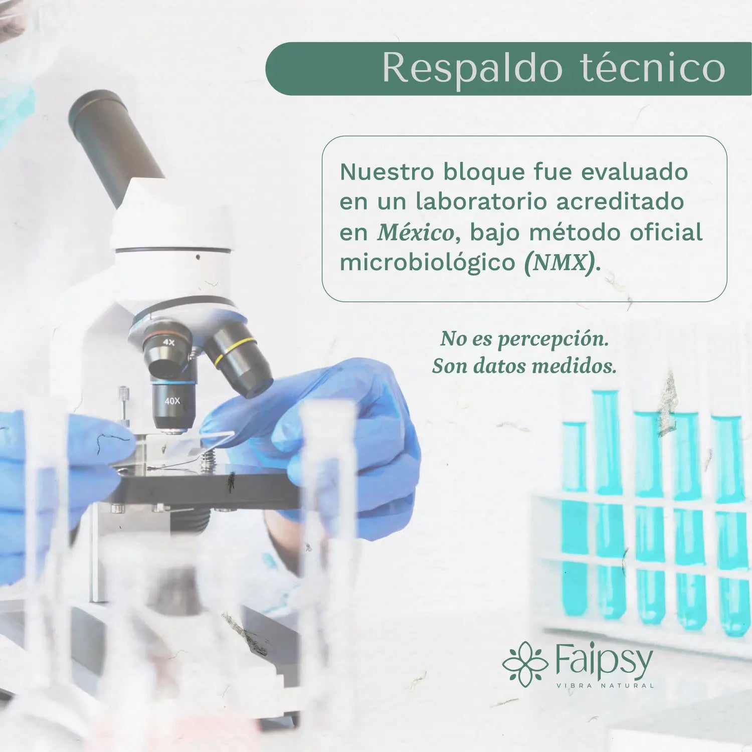 Lo que realmente hace un buen lavatrastes: ciencia limpieza y conciencia