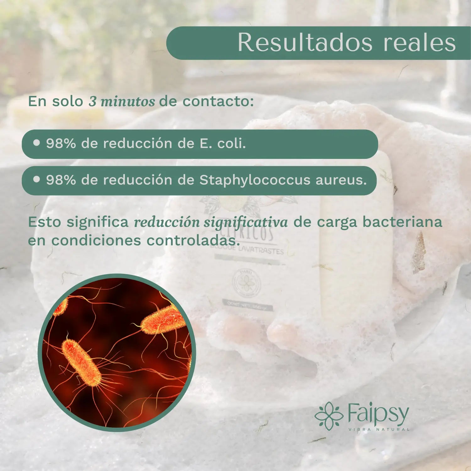 Lo que realmente hace un buen lavatrastes: ciencia limpieza y conciencia