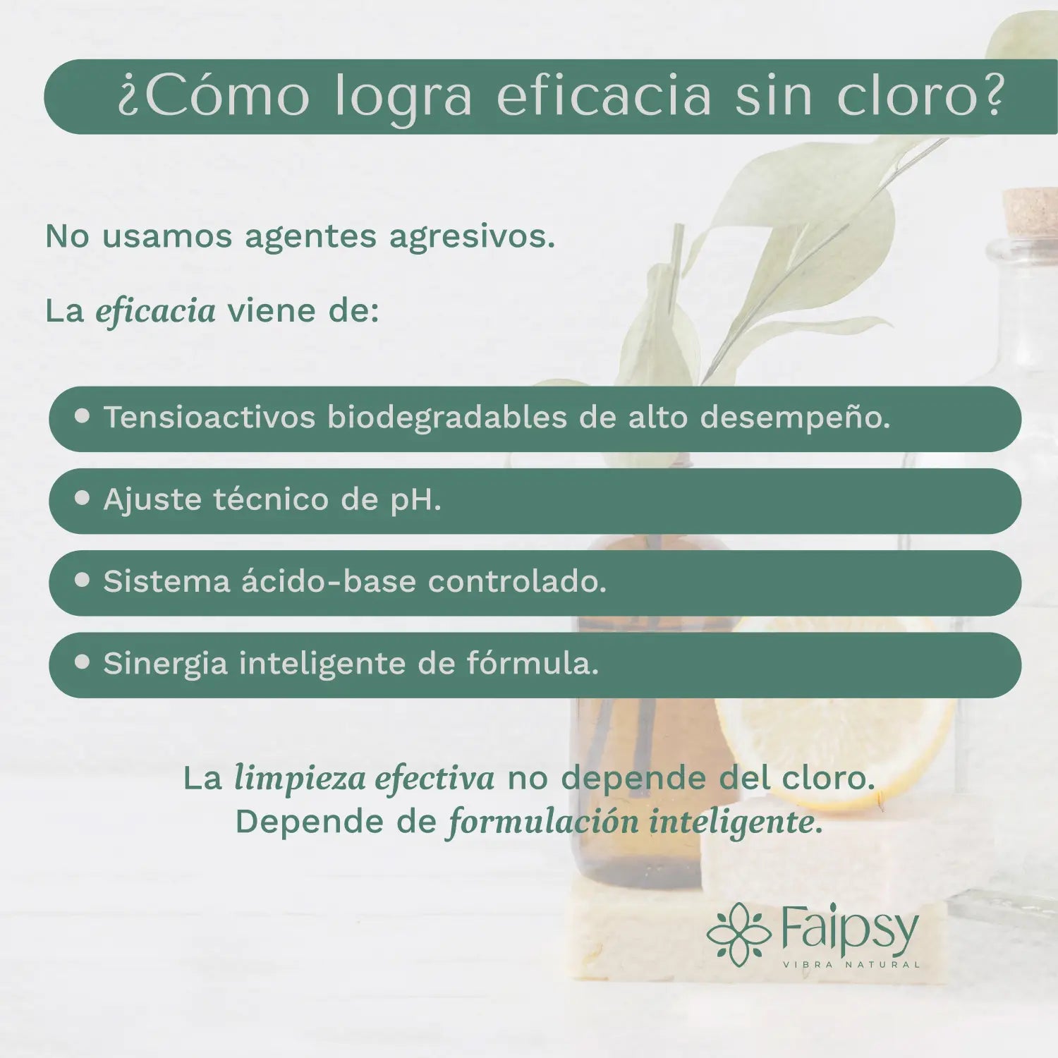 Lo que realmente hace un buen lavatrastes: ciencia limpieza y conciencia