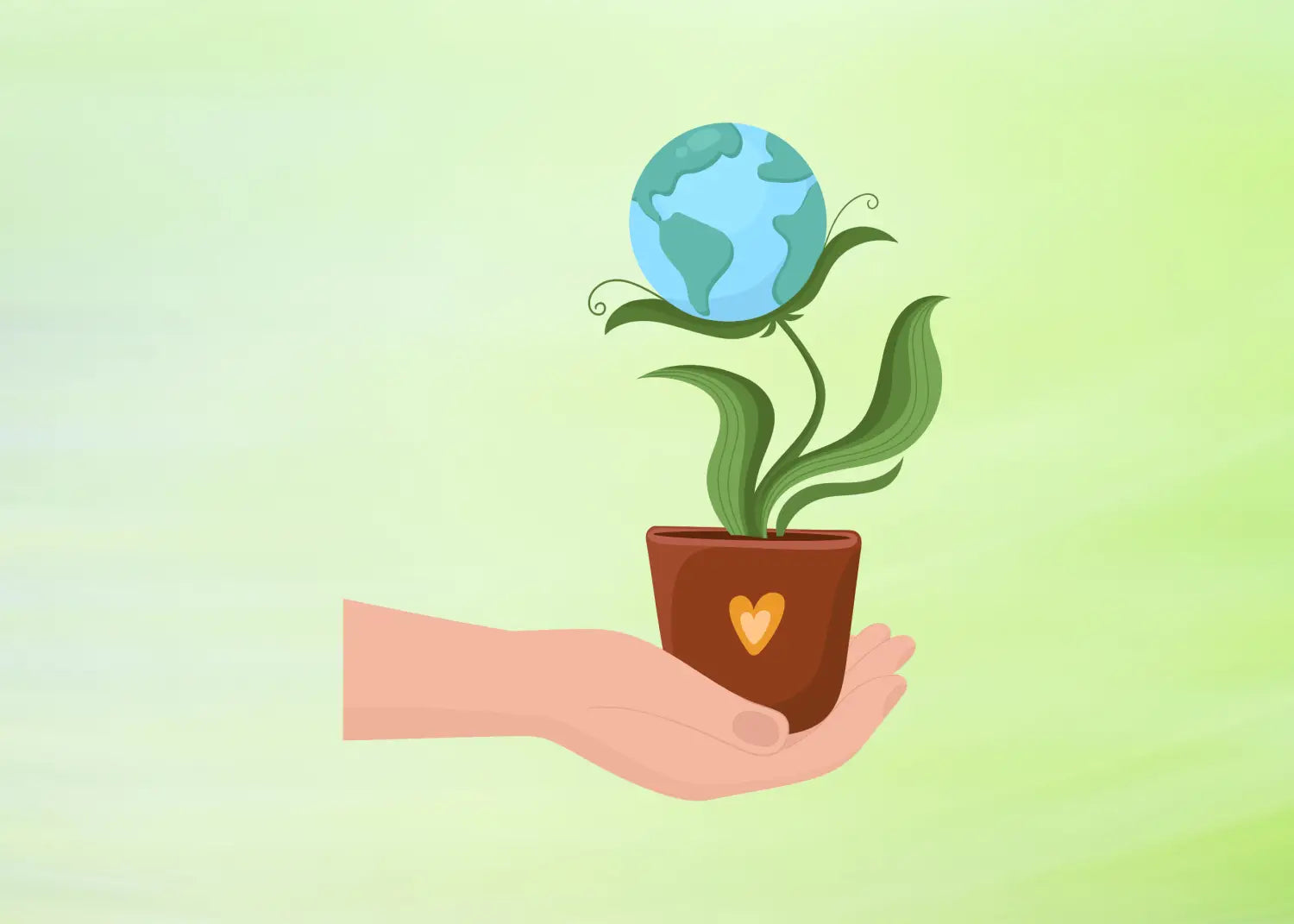 Pequeñas acciones gran impacto: cómo nuestras decisiones cuidan ecosistemas como los manglares