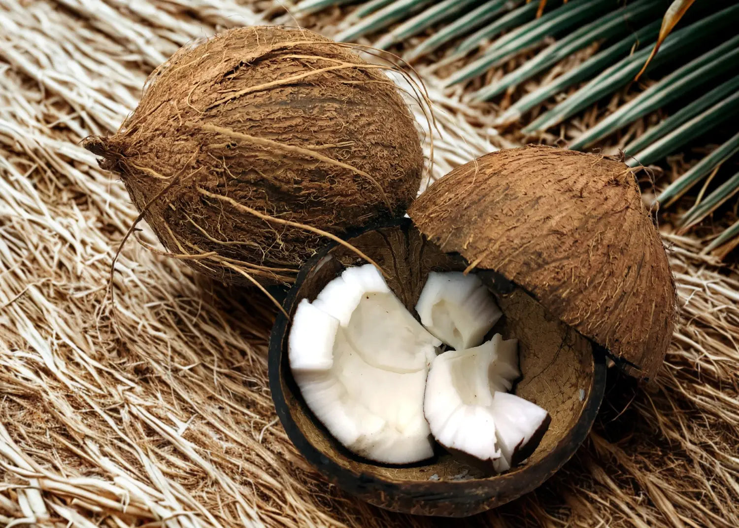Ingredientes que dan vida a faipsy: un viaje por méxico y sus tesoros naturales