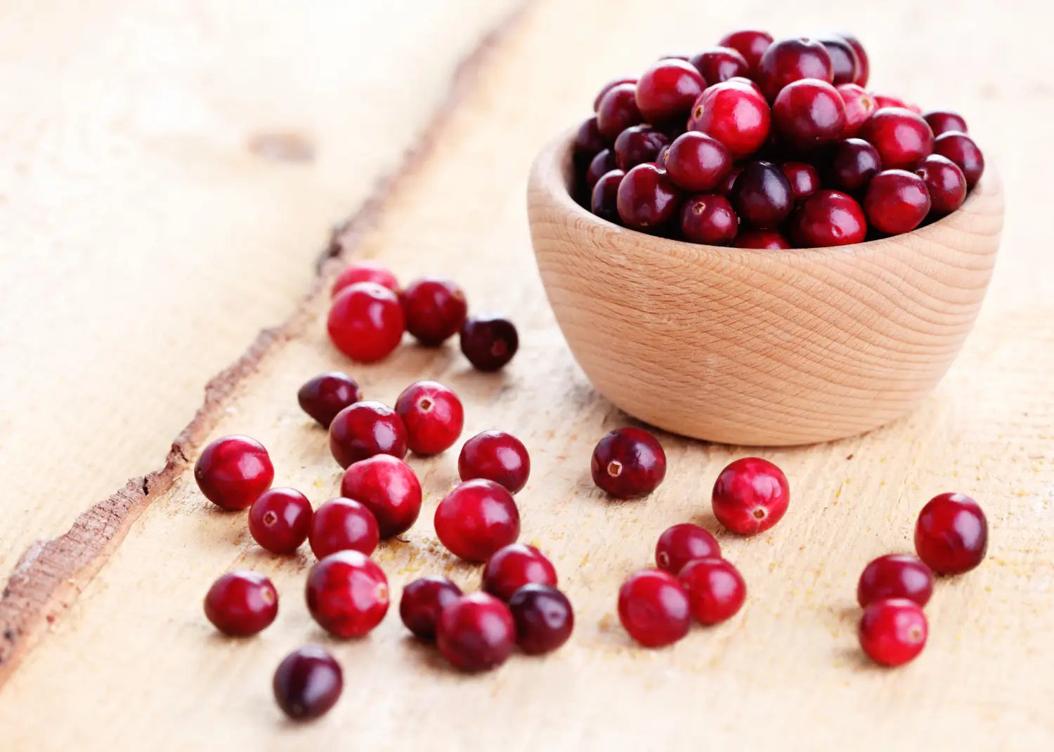 La magia de los ingredientes que inspiraron nuestra línea navidad faipsy