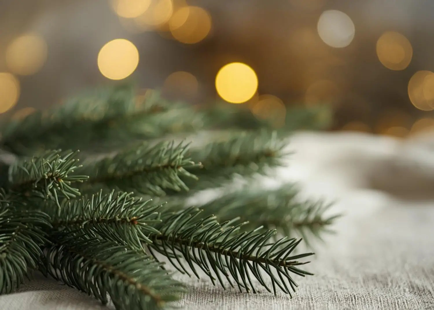 La magia de los ingredientes que inspiraron nuestra línea navidad faipsy