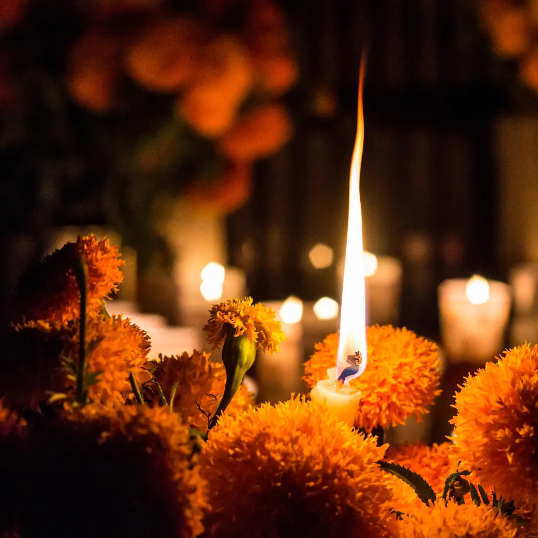 Día de muertos: un puente luz aroma y memoria