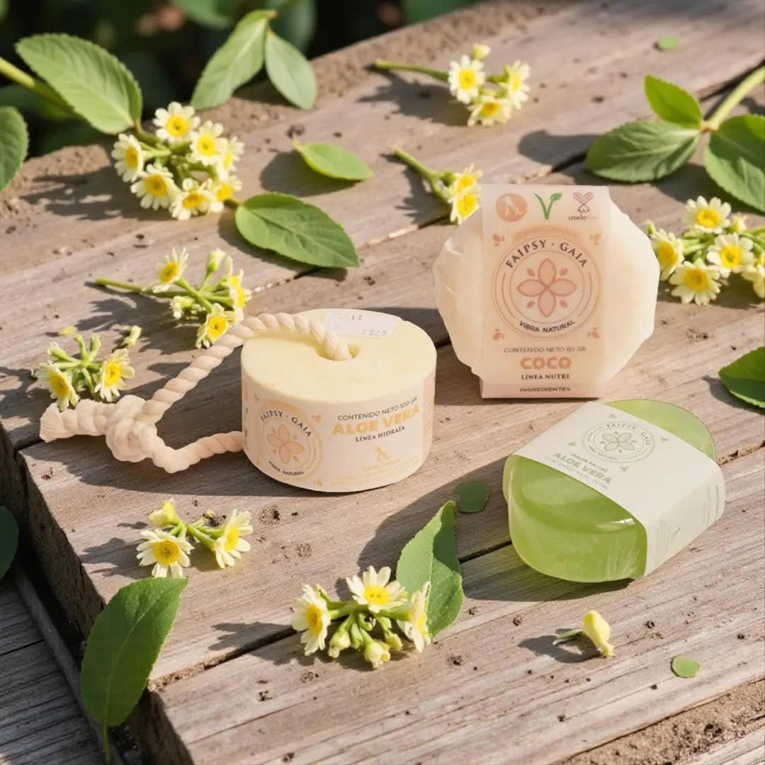 Faipsygaia kit natural aloe vera & coco