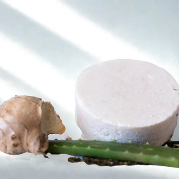 Shampoo Sólido Kombucha