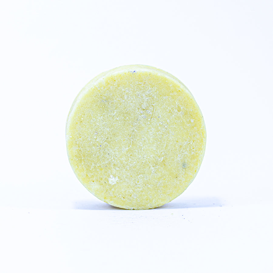 Shampoo Sólido Normal